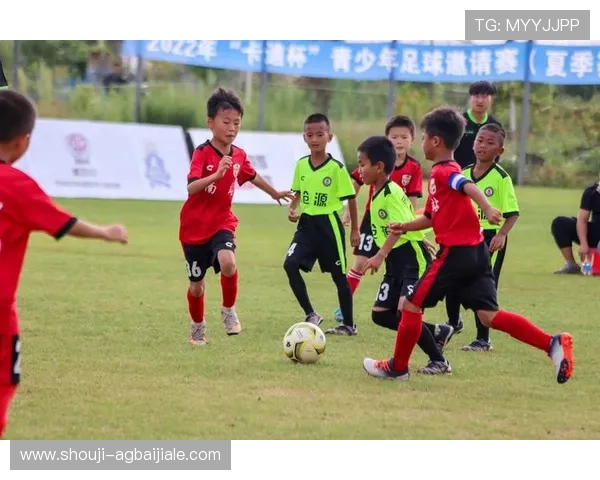欧博真人足球电脑版账号注册与登录流程详解，快速开启你的足球之旅